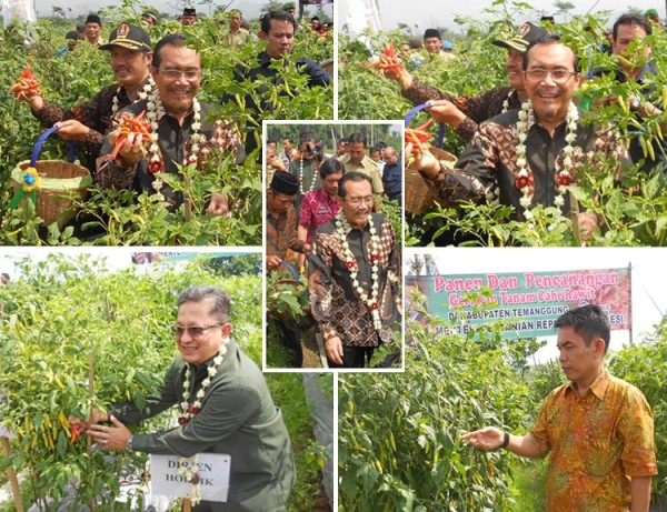 Ditempuh 2 Skema Tambah Alokasi Pupuk Bersubsidi